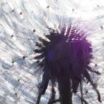 socialmedia-formedia