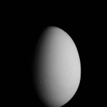 socialmedia-formedia