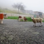 socialmedia-formedia